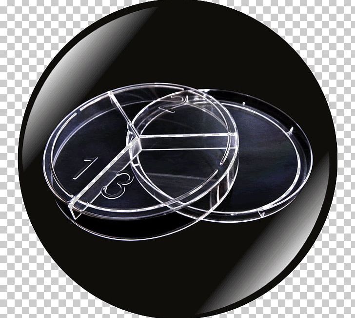 Rim Circle Wheel PNG, Clipart, Circle, Education Science, Petri Dish, Rim, Sphere Free PNG Download