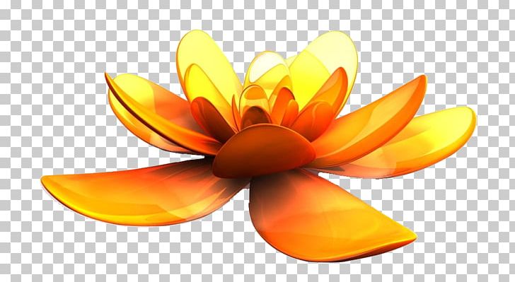 Yellow Gold PNG, Clipart, Advertising, Advertising Design, Artworks, Atmosphere, Cut Flowers Free PNG Download