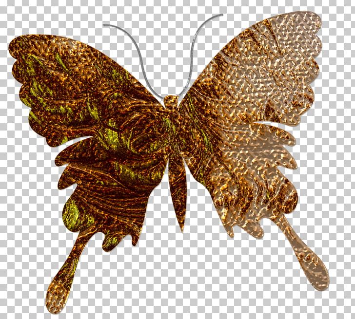 Brush-footed Butterflies Butterfly Moth Blog Pupa PNG, Clipart, Animaatio, Animal, Arthropod, Avatar, Blog Free PNG Download