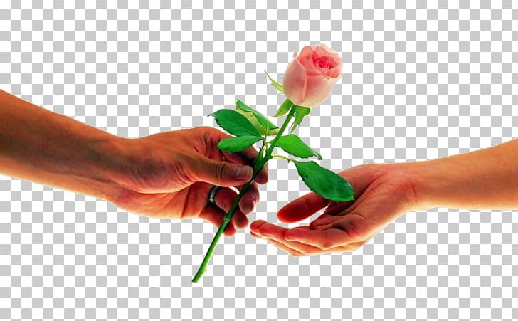 Propose Day Valentine's Day February 8 Love Wish PNG, Clipart, Breakup, Cut Flowers, February 8, Feeling, Finger Free PNG Download