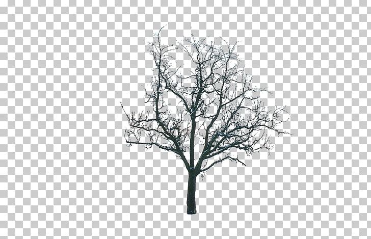 Tree Winter WUXGA Snow High-definition Television PNG, Clipart, Arboriculture, Aspect Ratio, Black And White, Branch, Desktop Wallpaper Free PNG Download