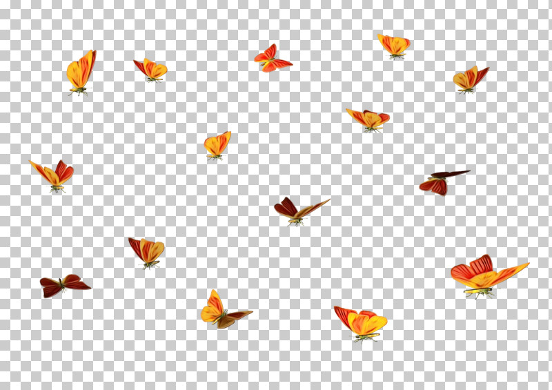 Orange PNG, Clipart, Butterfly, Heart, Moths And Butterflies, Orange, Paint Free PNG Download