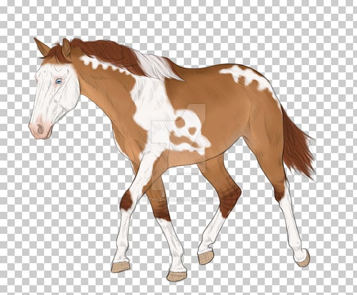 Mane Mustang Foal Stallion Colt PNG, Clipart, Animal Figure, Bridle, Color Spalsh, Colt, Dog Harness Free PNG Download