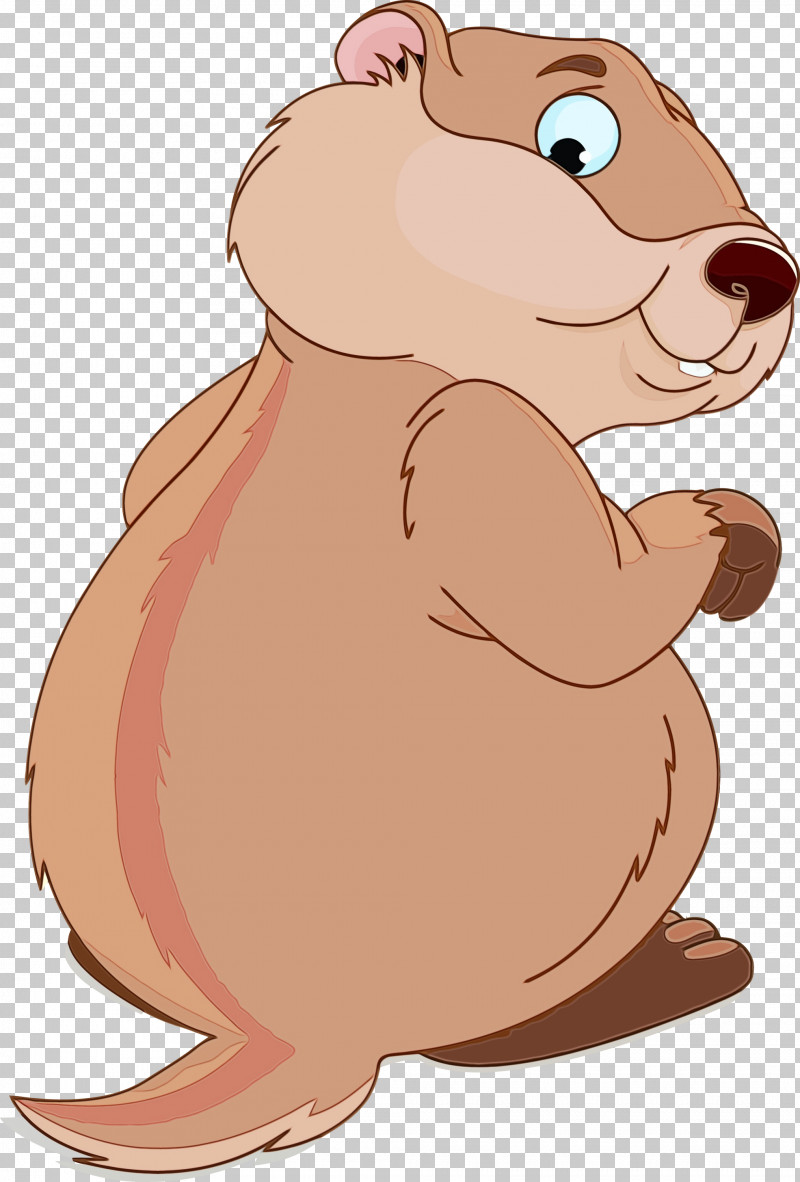 Hamster PNG, Clipart, Beaver, Cartoon, Groundhog, Groundhog Day, Hamster Free PNG Download