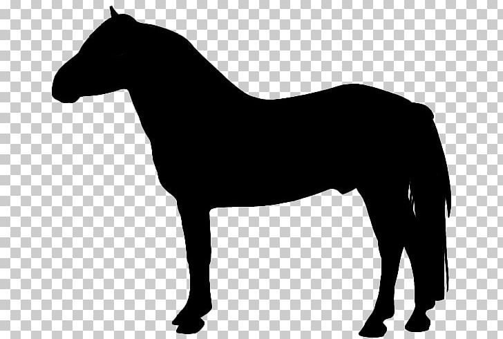 Horse Silhouette PNG, Clipart, Animals, Art, Black And White, Bridle, Colt Free PNG Download