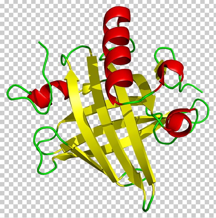 Major Urinary Proteins Urine Protein Tertiary Structure Beta Sheet PNG, Clipart, Area, Art, Beta Sheet, Biology, Bradford Protein Assay Free PNG Download