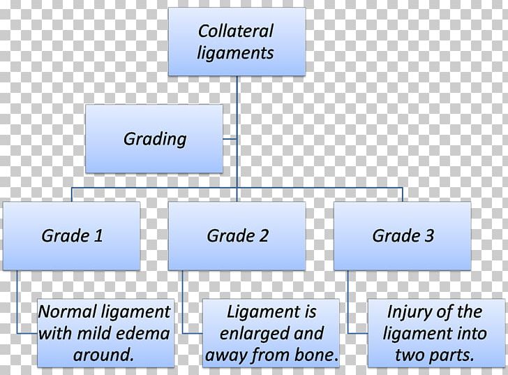 Organization Line Angle Font PNG, Clipart, Angle, Area, Art, Diagram, Encephalopathy Free PNG Download