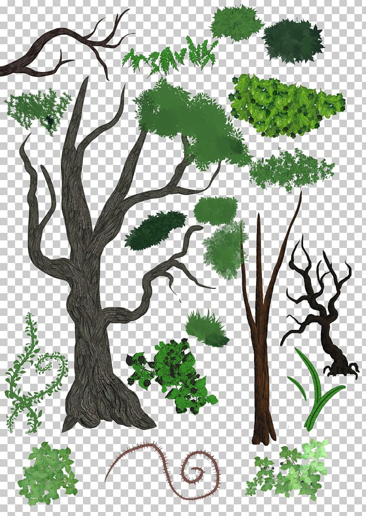 Tree Plant PNG, Clipart, Art, Artist, Bark, Branch, Brush Free PNG Download