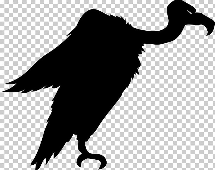 Bird Turkey Vulture Silhouette PNG, Clipart, Animals, Beak, Bird, Bird Of Prey, Black And White Free PNG Download