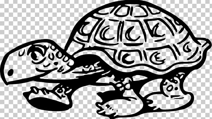 Turtle Tortoise Reptile PNG, Clipart, Animals, Art, Artwork, Black And White, Cartoon Free PNG Download