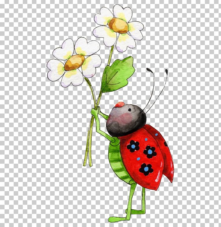 Insect Ladybird Beetle PNG, Clipart, Amphimallon Solstitiale, Animals, Arthropod, Bug, Computer Icons Free PNG Download
