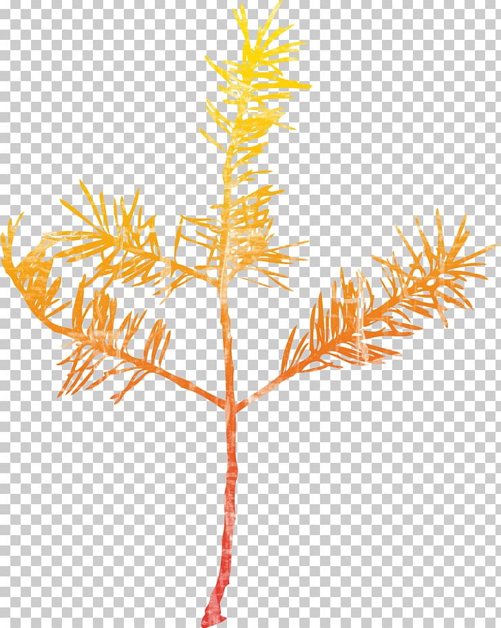 Twig Text Leaf Illustration PNG, Clipart, Branch, Clip Art, Decorative Patterns, Design, Flowering Plant Free PNG Download