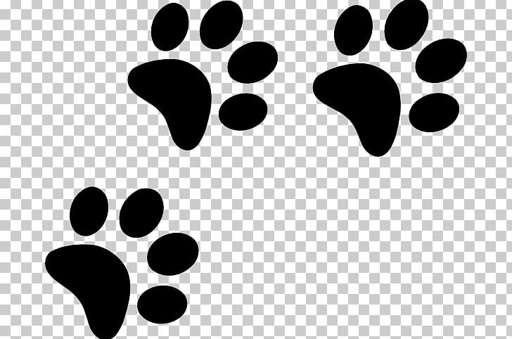 Paw Bichon Frise Havanese Dog Black And Tan Coonhound PNG, Clipart, Bergamasco Shepherd, Bichon Frise, Black, Black And White, Bloodhound Free PNG Download