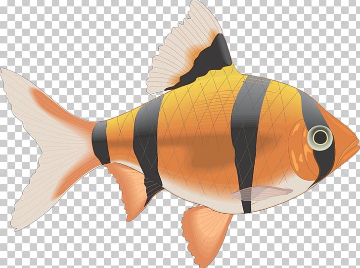 Raster Graphics PNG, Clipart, Art, Bony Fish, Computer Graphics, Conscience, Coral Reef Fish Free PNG Download