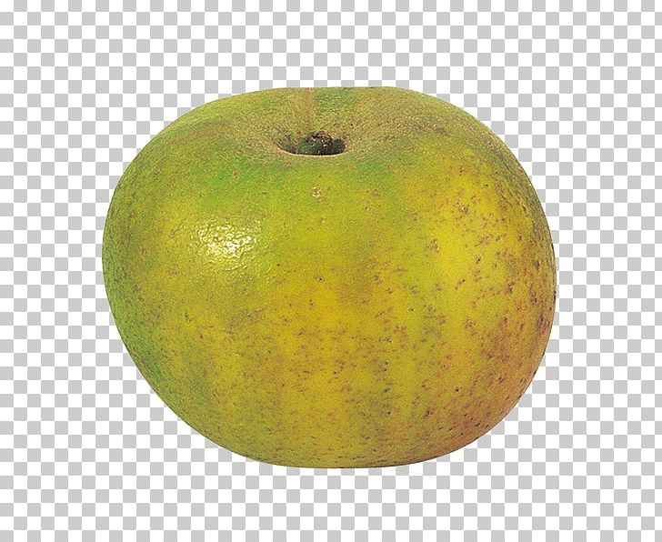 Apples Reinette Clochard Cripps Pink PNG, Clipart, Apple, Apples, Chantecler, Cripps Pink, Cucurbita Free PNG Download