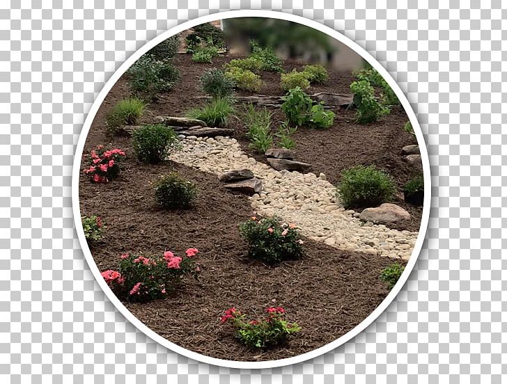 Arrowwood Landscape Design Landscaping Vegetation PNG, Clipart, Arrowwood Landscape Design, Circle, Company, Fredericksburg, Garden Free PNG Download