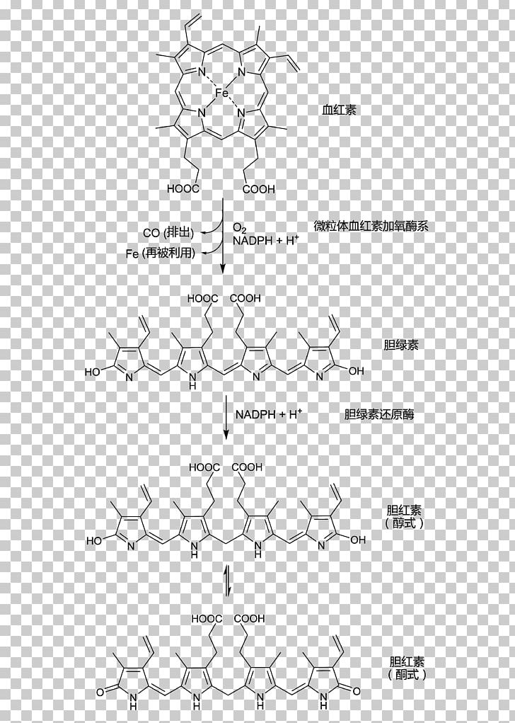 Bilirubin Hemoglobin Biliverdin Porphyrin Bile PNG, Clipart, Angle, Area, Bile, Bilirubin, Black And White Free PNG Download