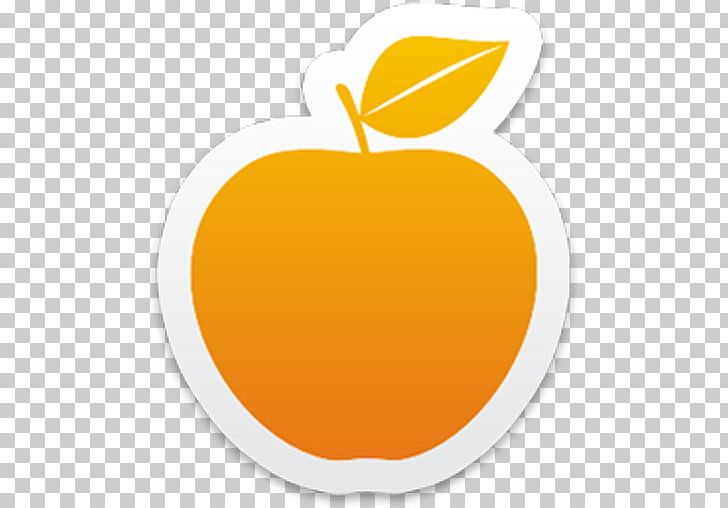 Computer Icons Apple PNG, Clipart, Apple, Apple Icon, App Store, Computer Icons, Directory Free PNG Download