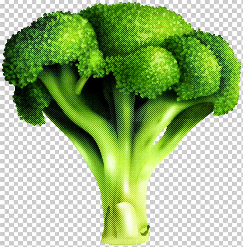 Broccoli Vegetable Leaf Vegetable Plant Superfood PNG, Clipart, Broccoli, Flower, Grass, Leaf Vegetable, Natural Foods Free PNG Download