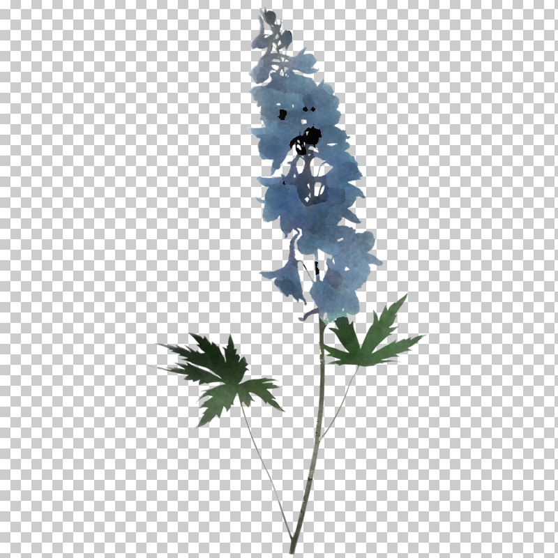 Flower Plant Leaf Delphinium Tree PNG, Clipart, Anemone, Bellflower, Delphinium, Flower, Leaf Free PNG Download