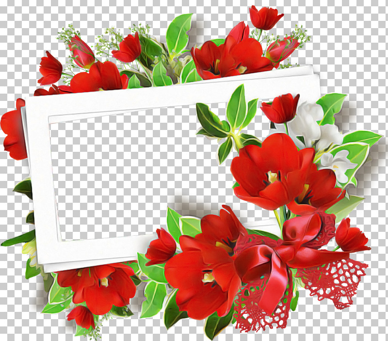 Flower Red Plant Cut Flowers Petal PNG, Clipart, Bouquet, Cut Flowers, Flower, Petal, Plant Free PNG Download
