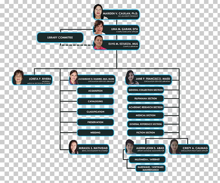 Cagayan State University University Center California State University Organizational Chart PNG, Clipart, Academic Library, Brand, Cagayan State University, California State University, College Free PNG Download
