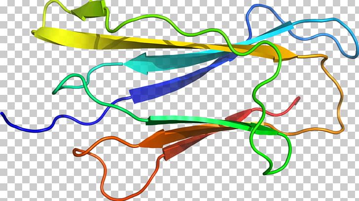 Line Point Organism PNG, Clipart, Area, Art, Cyclin, Line, Organism Free PNG Download