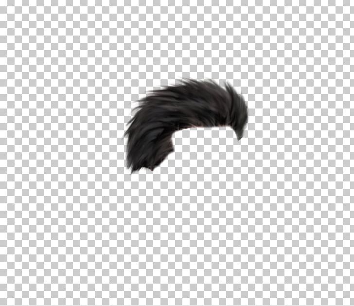 PicsArt Photo Studio Editing Hair PNG, Clipart, Beak, Black, Black And  White, Desktop Wallpaper, Download Free