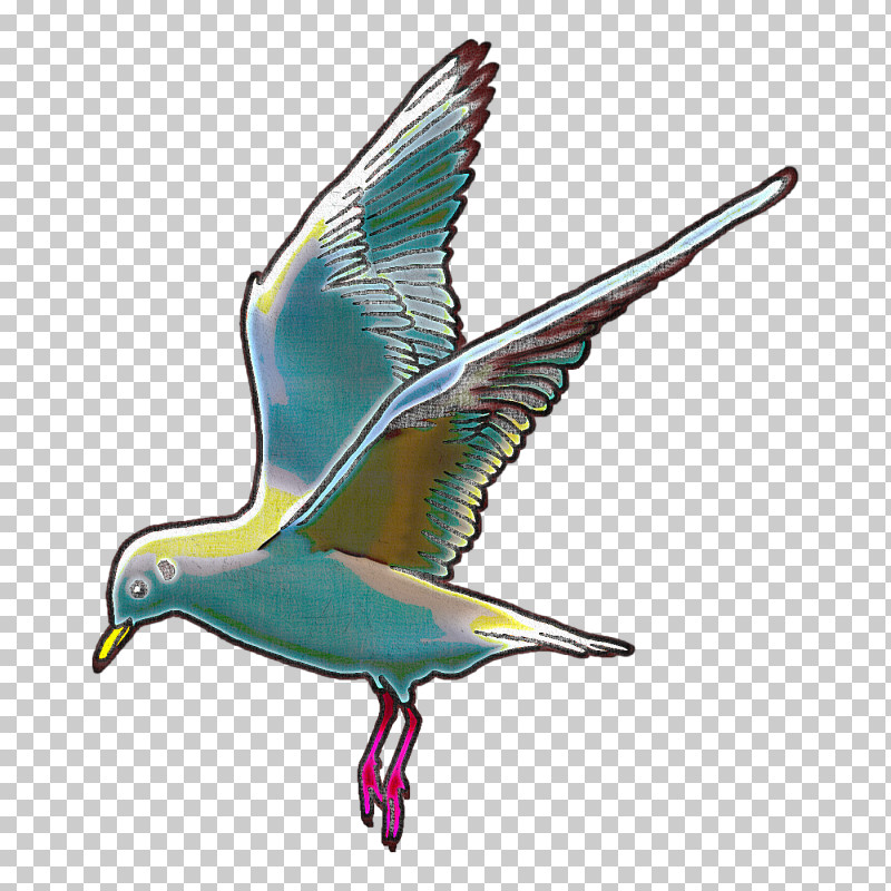 Beak Birds Line Art European Herring Gull Drawing PNG, Clipart, Beak, Bird Flight, Birds, Cartoon, Drawing Free PNG Download