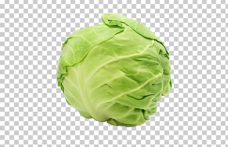Capitata Group Savoy Cabbage Chinese Cabbage Leaf Vegetable PNG, Clipart, Brassica Oleracea, Cabbage, Cauliflower, Cruciferous Vegetables, Food Free PNG Download