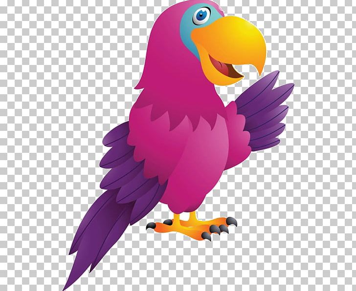 True Parrot Bird Cockatoo Cartoon PNG, Clipart, Animals, Art, Balloon Cartoon, Beak, Bird Of Prey Free PNG Download