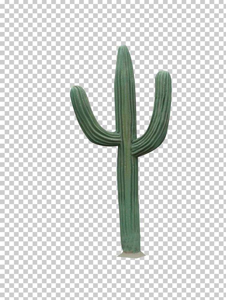 Cactaceae PNG, Clipart, Bestoftheday, Bodyshope, Cactaceae, Cactus, Cactus Garden Free PNG Download