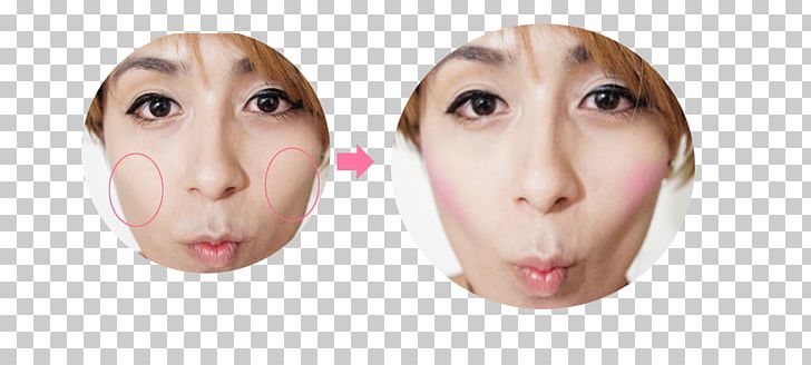 Snout Cheek Chin Jaw Mouth PNG, Clipart, Cheek, Chin, Ear, Eye, Eyebrow Free PNG Download