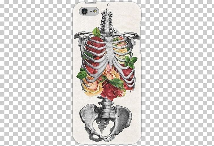 Human Skeleton Art Rib Flower PNG, Clipart, Anatomy, Art, Bone, Christmas Ornament, Drawing Free PNG Download