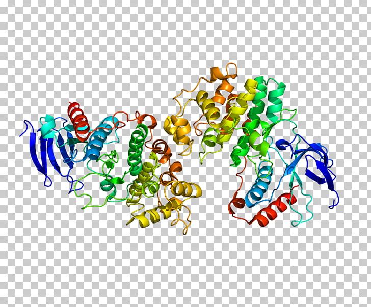 P38 Mitogen-activated Protein Kinases MAPK11 Serine/threonine-specific Protein Kinase PNG, Clipart, Art, Enzyme, Epidermal Growth Factor, Gc 8, Gene Free PNG Download