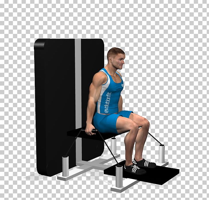 Weight Training Squat Kettlebell CrossFit Exercise PNG, Clipart, Abdomen, Arm, Balance, Bench, Biceps Curl Free PNG Download