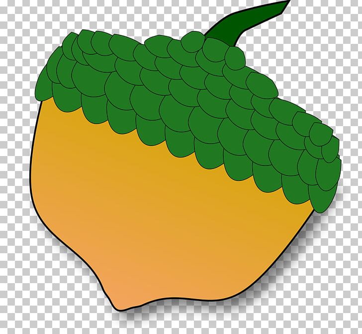 Acorn PNG, Clipart, Acorn, Computer Icons, Download, Food, Fruit Free PNG Download