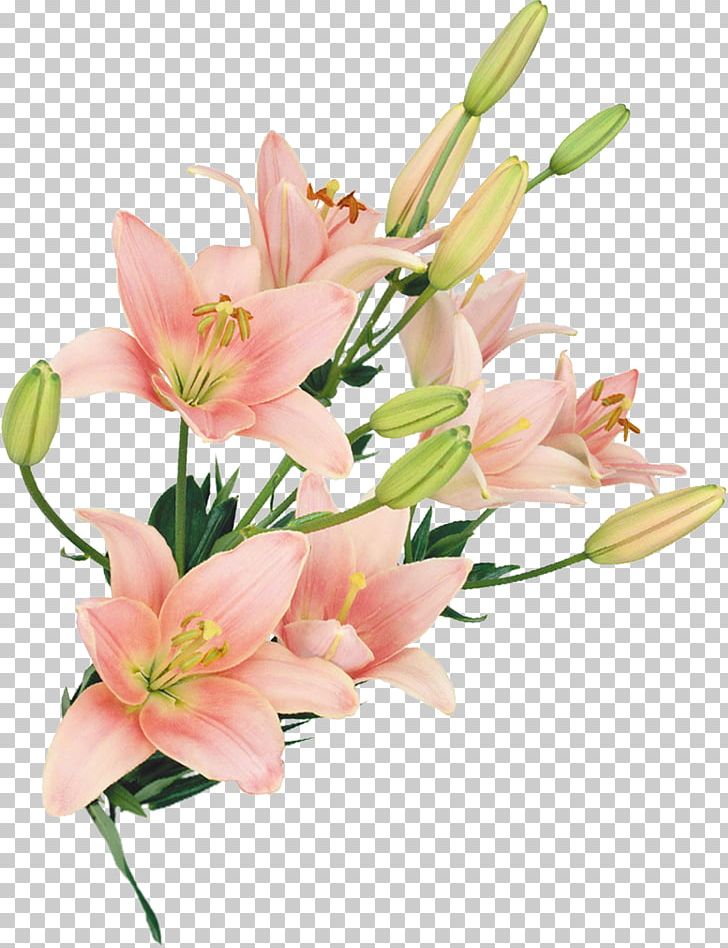 Cut Flowers Floral Design Flower Bouquet Floristry PNG, Clipart, Alstroemeriaceae, Art, Cut Flowers, Floral Design, Floristry Free PNG Download