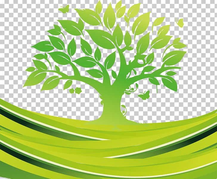 Exp Services Tree Euclidean PNG, Clipart, Autumn Tree, Bonsai, Branch, Christmas Tree, Circle Free PNG Download