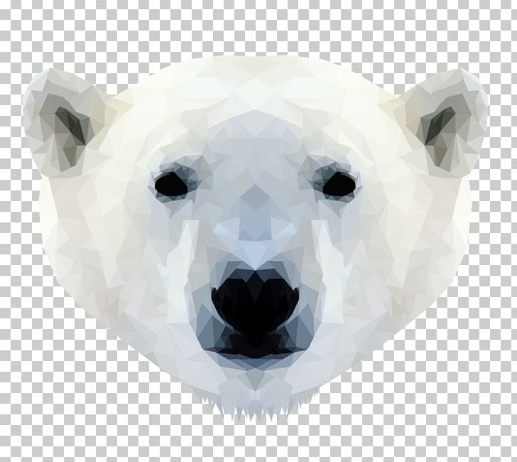 Polar Bear Walrus Cat Tiger PNG, Clipart, Animal, Animals, Bear, Carnivoran, Cat Free PNG Download