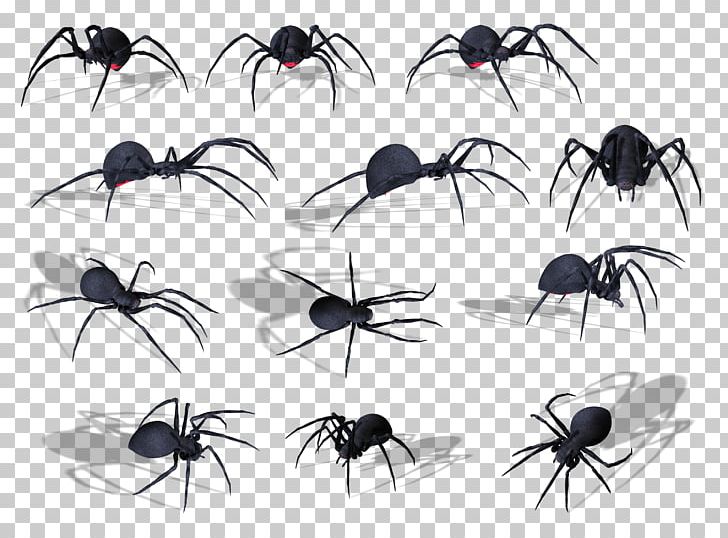 Spider Bite Papua New Guinea Insect Venom PNG, Clipart, Arachnid, Arthropod, Chelicerae, Download, Eight Legs Free PNG Download