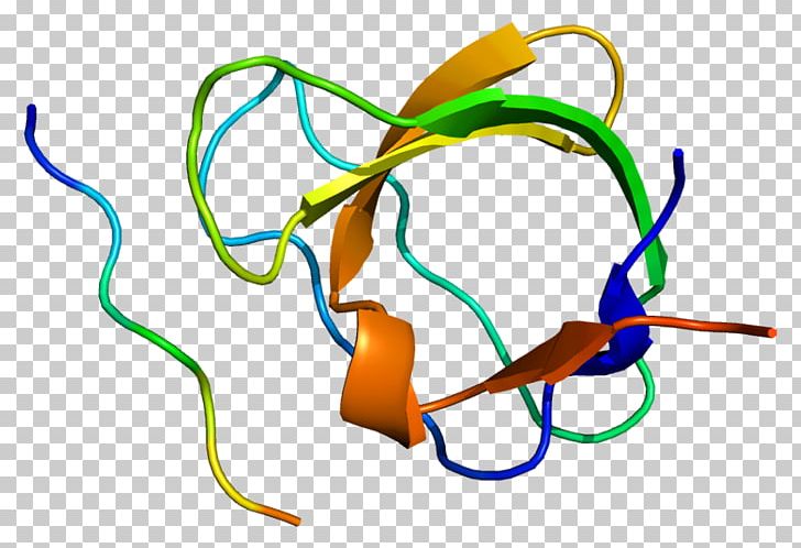 CD2AP Protein Gene SH3 Domain Chromosome 6 PNG, Clipart, Cd2, Cd2ap, Chromosome, Chromosome 6, Gene Free PNG Download