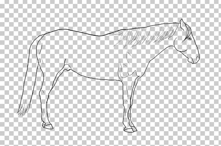 Foal Pony Mustang Rein Mane PNG, Clipart, Arm, Artwork, Black And White, Bridle, Colt Free PNG Download