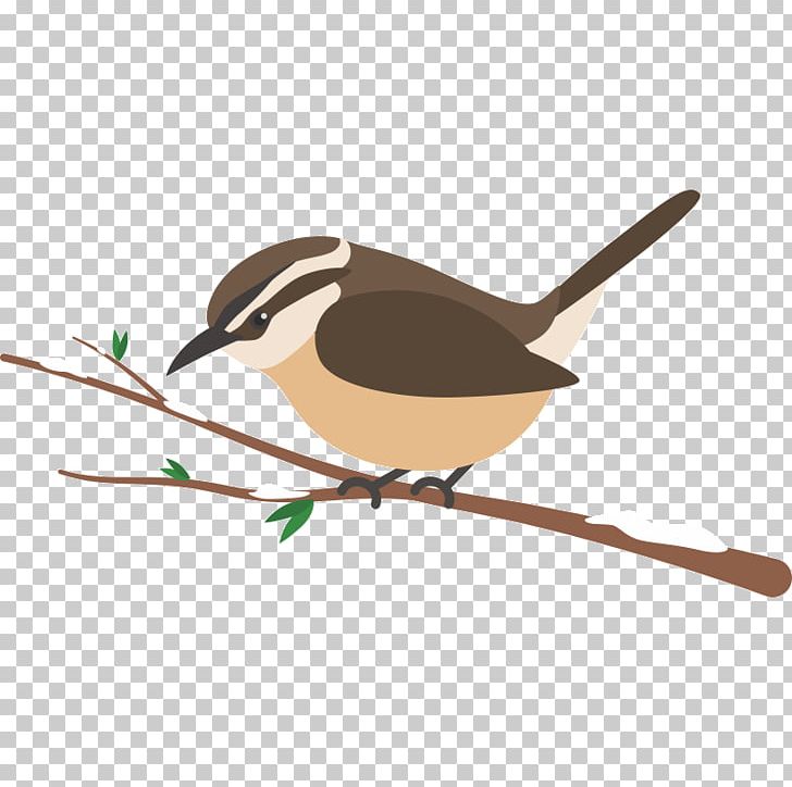 Wren American Sparrows Beak Chickadee PNG, Clipart, American Sparrows, Animals, Beak, Bird, Branch Free PNG Download