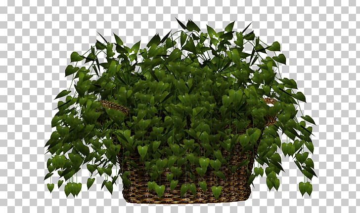 Flowerpot PhotoScape Houseplant Grow Shop Tree GIMP PNG, Clipart, Blog, Flower, Flowerpot, Gimp, Grass Free PNG Download