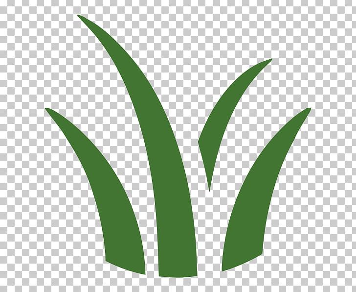 Leaf Logo Grasses Plant Stem Font PNG, Clipart, Family, Grass, Grasses, Grass Family, Green Free PNG Download
