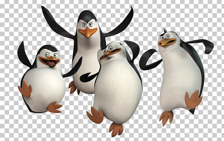 Penguin Madagascar DreamWorks Animation Desktop Film PNG, Clipart, Animals, Animation, Beak, Benedict Cumberbatch, Bird Free PNG Download