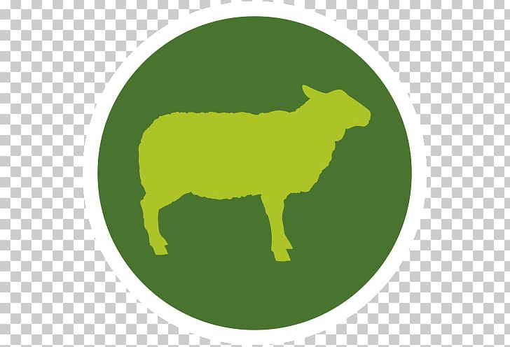 Sheep Cattle Domestic Pig Meat Packing Industry Hay PNG, Clipart, Animal Husbandry, Animals, Butcher, Carnivoran, Cattle Free PNG Download