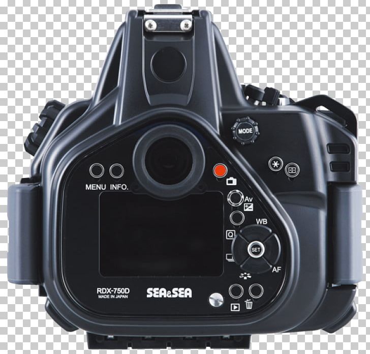 Digital SLR Canon EOS 750D Canon EOS 800D Canon EOS 300D Canon EOS 650D PNG, Clipart, Came, Camera, Camera Lens, Canon, Canon Eos Free PNG Download