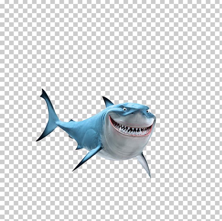 Finding Nemo Marlin Bruce Pixar PNG, Clipart, Animal, Animals, Barry Humphries, Big Shark, Biological Free PNG Download